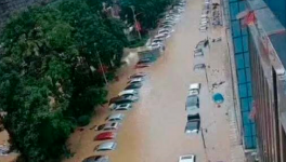 立即撤離！15個省市緊急預(yù)警！水泥價格集體下跌！