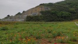 這家水泥企業(yè)喜獲2800萬(wàn)噸石灰?guī)r礦采礦權(quán)！