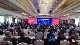 23430999萬元！海螺集團(tuán)又是第一名！