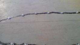 發(fā)明！自我修復(fù)混凝土，房子200年不裂！