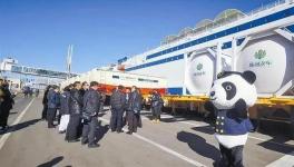 東北海運(yùn)通道打開(kāi)，水泥、熟料“高速運(yùn)輸”直達(dá)山東！