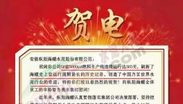 又是海螺水泥！創(chuàng)造世界水泥行業(yè)奇跡！