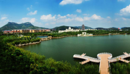 山東省棗莊市51條水泥立窯生產(chǎn)線全部關(guān)停！