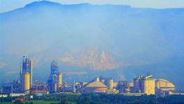 驚喜！這家水泥企業(yè)1月份水泥銷量增長(zhǎng)53%！