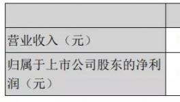 天山股份年報：2020年實現(xiàn)凈利潤15.16億元！
