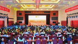 中建材在全球承接379條水泥生產(chǎn)線、市場(chǎng)占有率超過(guò)65%！