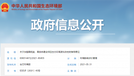 生態(tài)環(huán)境部出臺意見嚴格審查“兩高”項目！