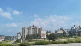 水泥行業(yè)的“華為”，一年凈賺300億！