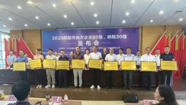 銅陵上峰:連續(xù)9年上榜“地方企業(yè)50強”！