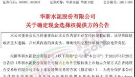 大事！海螺“出手”華新！