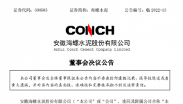 大動作！海螺、金隅冀東、山水高層人事調(diào)整！