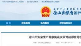 應(yīng)急管理局通報(bào)：鹽源金冠水泥被查出多處問題！