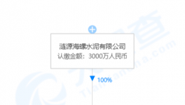 加速收購！海螺水泥在下一盤大棋！