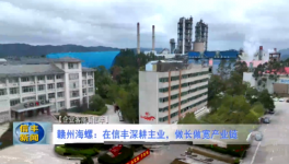 海螺子公司3條熟料生產(chǎn)線實現(xiàn)營收118億！