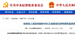 突發(fā)！海螺原董事長被查！