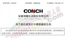 缺錢！海螺子公司“架空”！“借錢”100億 ！