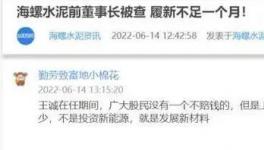 海螺蒸發(fā)1300億，逾700億元投資或存變數！