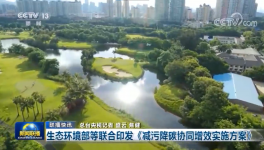 環(huán)保政策加嚴(yán)！氨逃逸不超標(biāo)這些企業(yè)做到了！