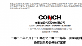 降薪！海螺員工工資大降52%！