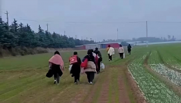 反撲！多省工地停工！水泥廠停發(fā)！商混站“告急”！