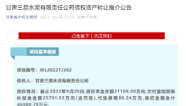 公告！多家水泥廠被賣！