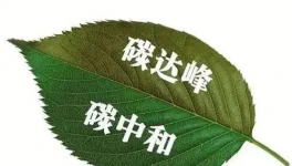 縫出匠心！這家環(huán)保企業(yè)脫穎而出！市場占有率名列前茅！