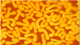 對比明顯，這個材料完勝！最長可用8年，節(jié)約電費百萬！