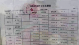 工資曝光！村長(zhǎng)“秒殺”水泥廠高管！